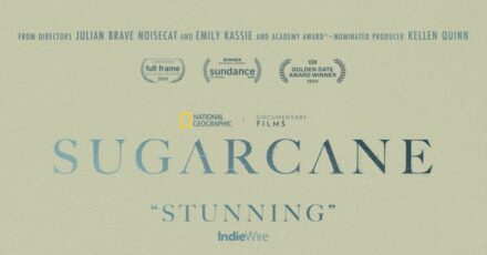 Sugarcane 1