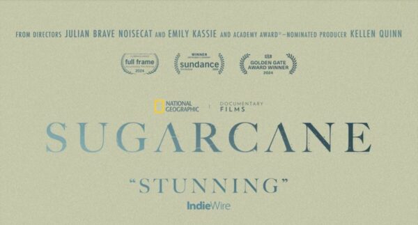 Sugarcane 1